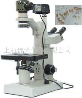 倒置显微镜XTU-10D