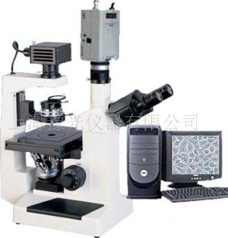 倒置显微镜XTU-20C