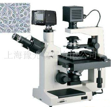 倒置显微镜XTU-30D