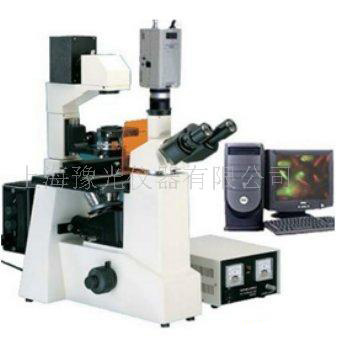 荧光显微镜XTU-50C