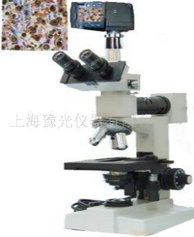 金相显微镜XYU-10D