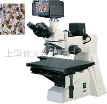 金相显微镜XYU-65D