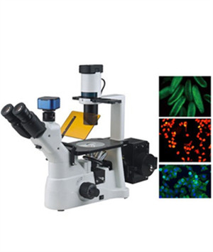 生物显微镜3680