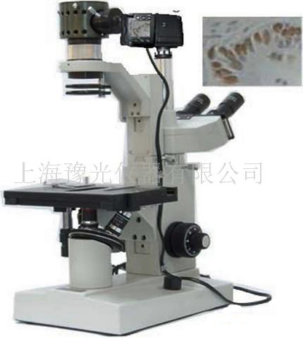 生物显微镜XSP-7CD