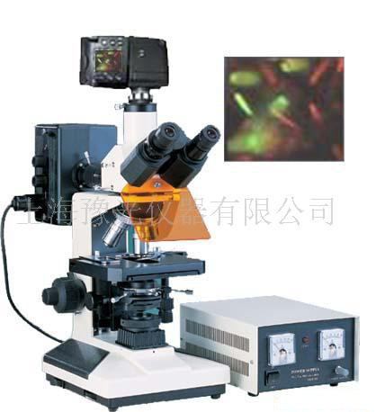 荧光显微镜TYU-50D